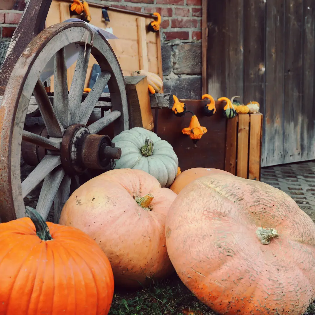 Pumpkins and gourds stacked beside an old wooden cart wheel at a farm stand