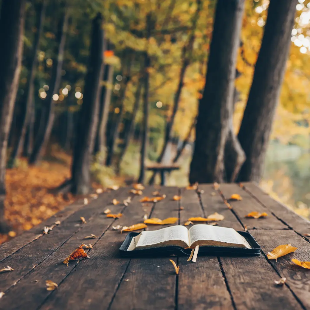 An open Bible on a rustic wooden table beneath golden autumn woods
