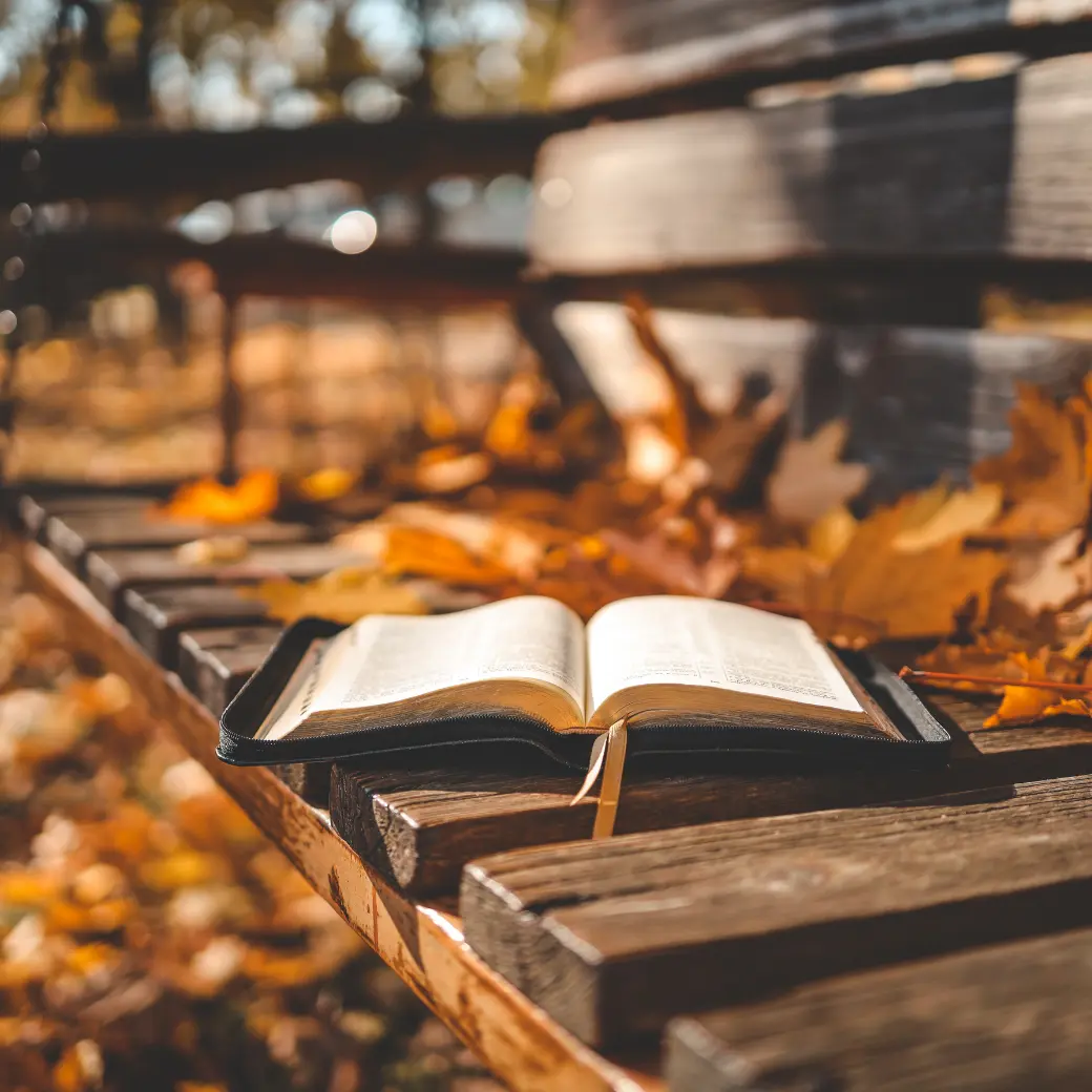An open Bible resting on a weathered wooden bench among fallen autumn leaves
