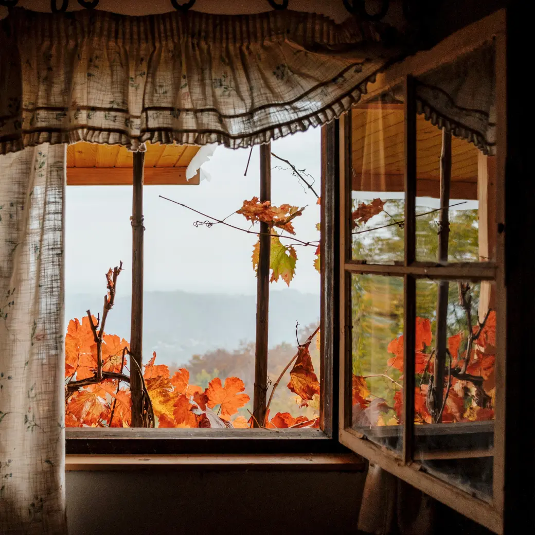 A window framed by orange and gold autumn leaves in warm light